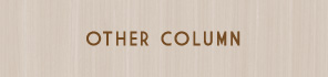 OTHER COLUMN